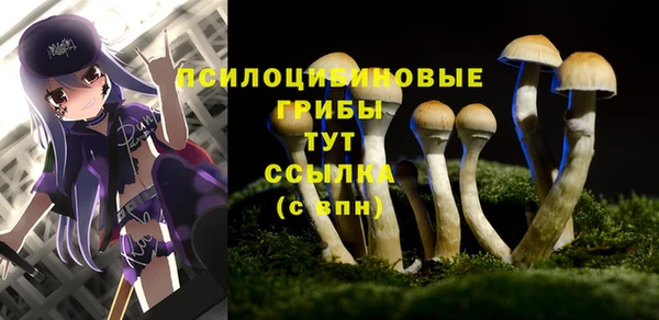 метадон Белоозёрский