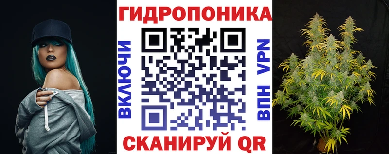 kraken как зайти  где можно купить   Железногорск-Илимский  Бошки марихуана VHQ 